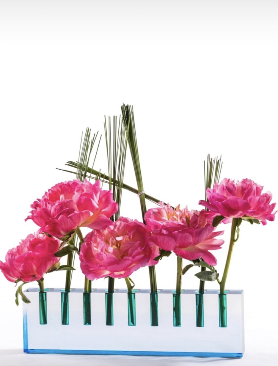 Menorah