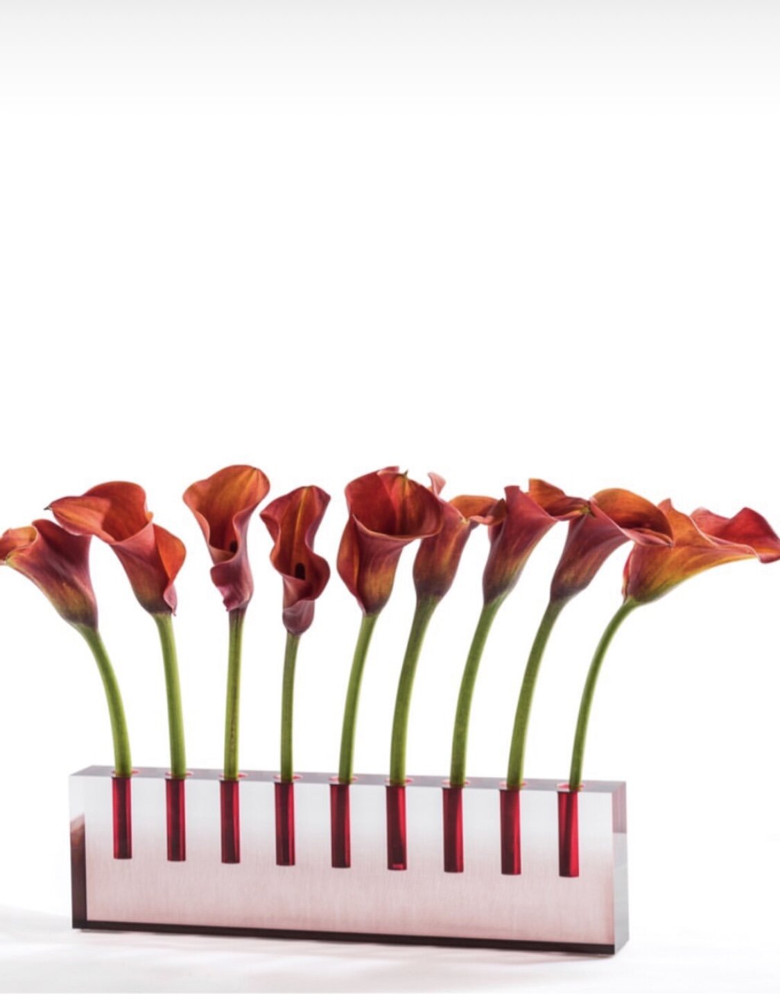 Menorah