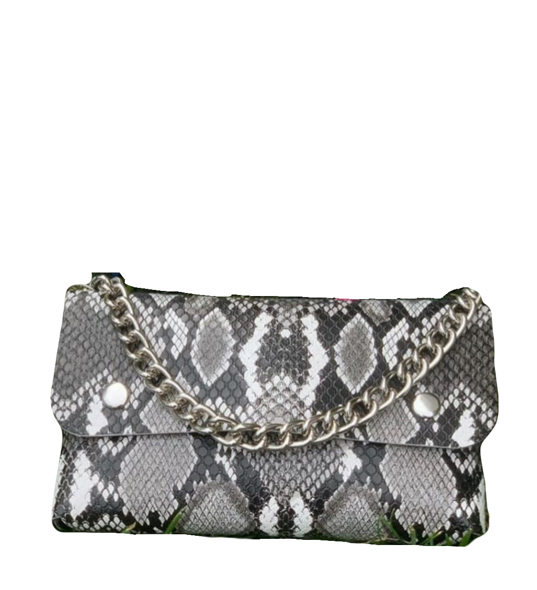 Snakeskin Belt/Shoulder Bag