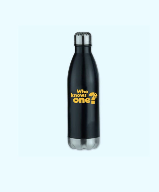 Insulated Water Bottle