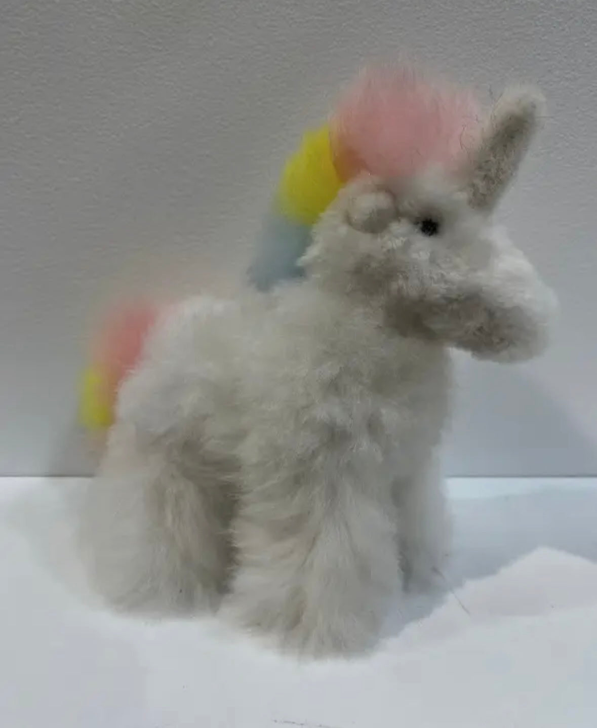 Rainbow Unicorn