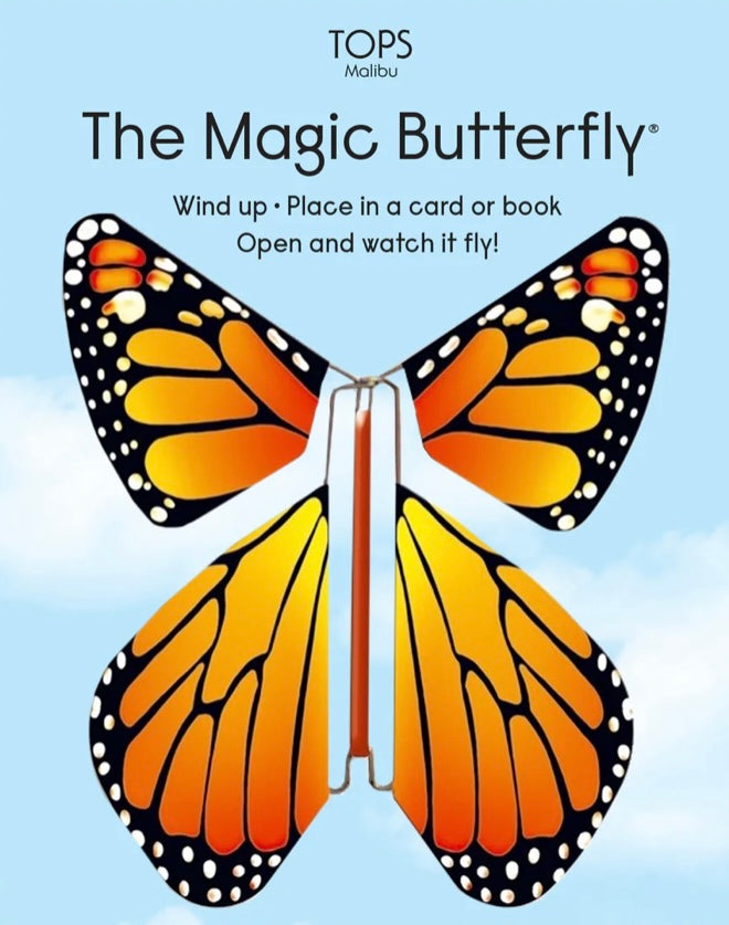 Flying Magic Rainbow Butterfly