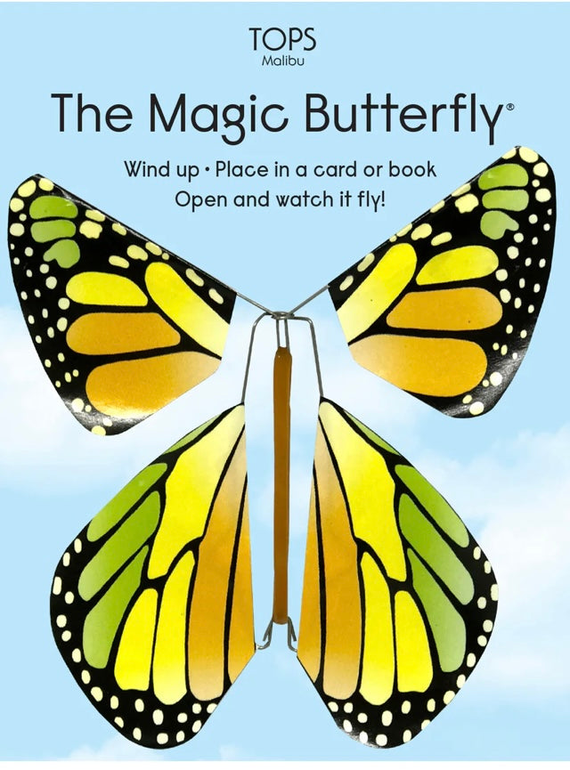 Flying Magic Rainbow Butterfly