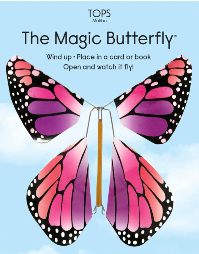 Flying Magic Rainbow Butterfly