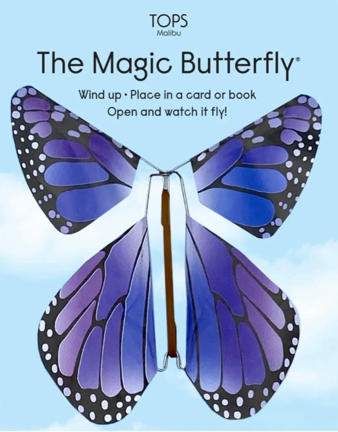 Flying Magic Rainbow Butterfly