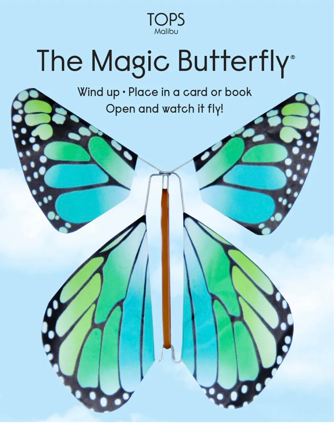 Flying Magic Rainbow Butterfly