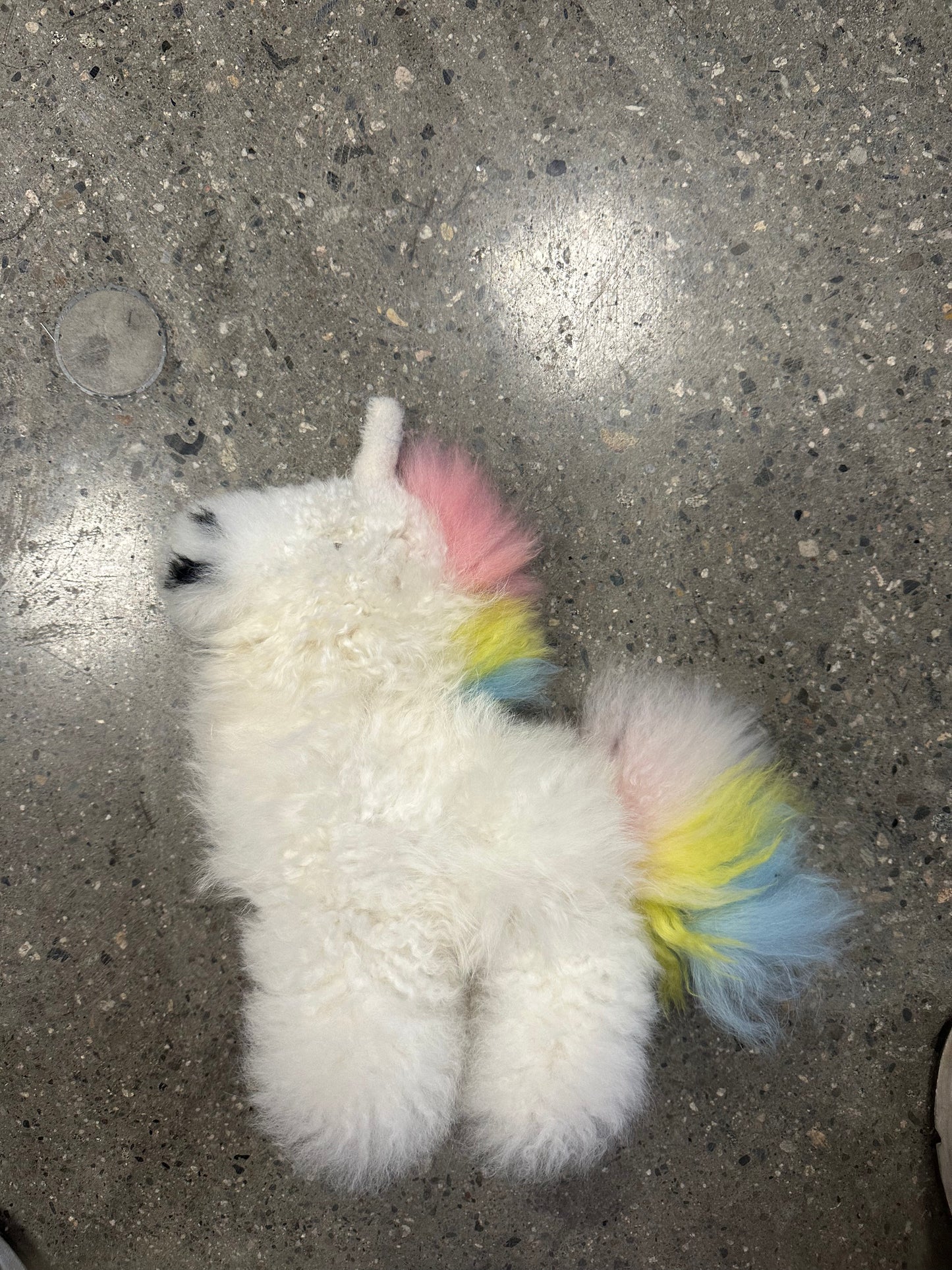 Rainbow Unicorn
