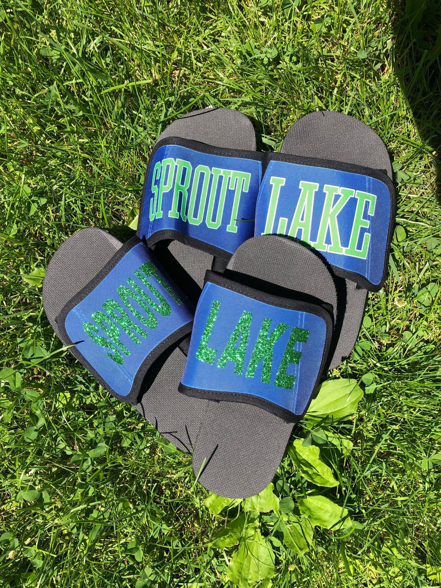 Sprout Lake Slides