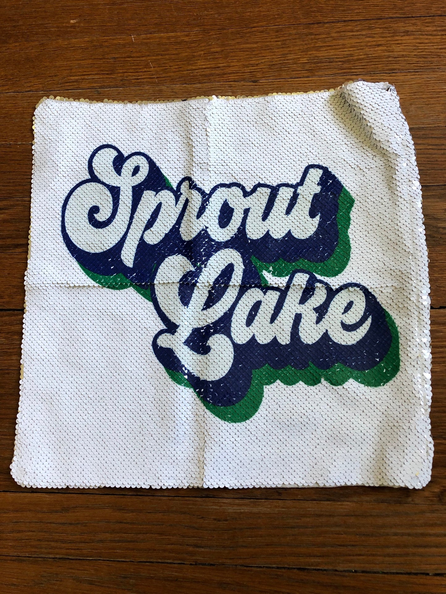 Sprout Lake Sequin Pillowcase