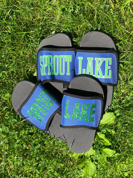 Sprout Lake Slides