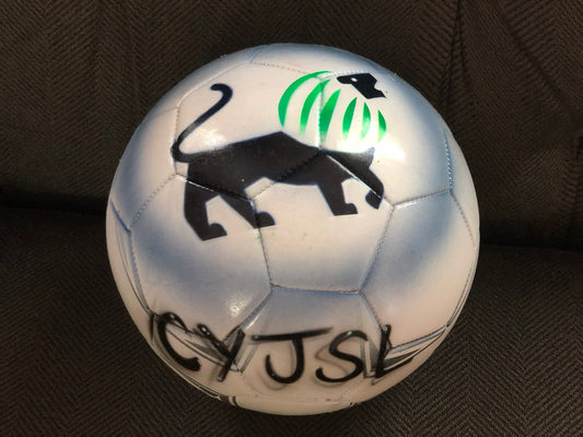 Sprout Lake Soccer Ball